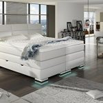 XXL ROMA Boxspringbett mit Bettkasten Designer Boxspring Bett LED Schneeweiss Rechteck Design (Schneeweiss, 200x200cm)